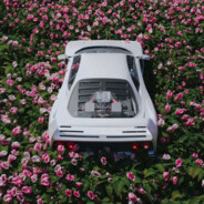 警察局的吴亦凡前辈会不会梦到李易峰后生