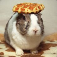 Señor Junkuy wa sugoi desu yo