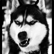 一只很皮的皮皮虾