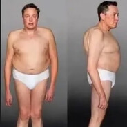 elon mózg