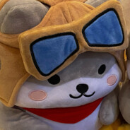 你想成为怎样的猫