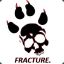 Fracture