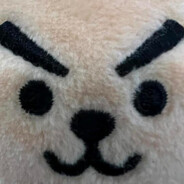 莱昂凯知耻而后勇