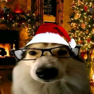 новогодний песик