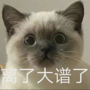 精致的猪猪男孩