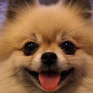 помогу с 15-22+ ключом за голд