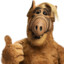 ALF