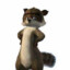 rj from over the hedge