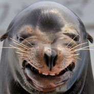 ⸶𝙵𝚘𝚌𝚊⸷