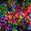 BuBBLeS