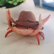 Your friendly neighborhood crab