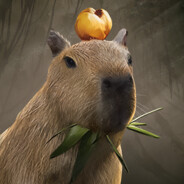 猫车来得太快就像龙卷风