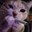 Kociak_SKINS