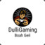 DulliGaming