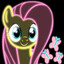Fluttershy
