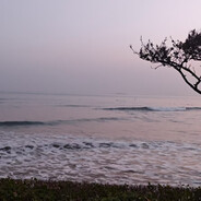 李奶奶的小可爱