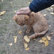 她与时光皆无情