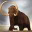 MastoDont