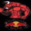 ● ● ●RedBull● ● ●