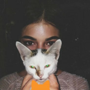 突突突突突击队