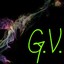 G.V.