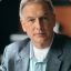 Leroy Jethro Gibbs