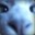 Insipid