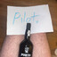 Pilot