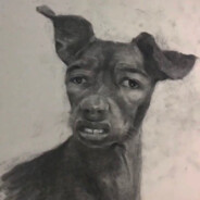 LIVVV319