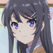 21号 禁止官匹与休闲