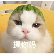 圆头嘉豪-动科同款科技强国+裙169945780