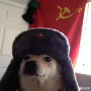 Veteran Doctors Of TCM