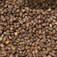 CityRoast