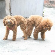 别问，再问中军