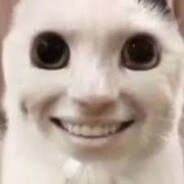 김수헌무거북이와두루