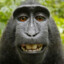 MONKЕY