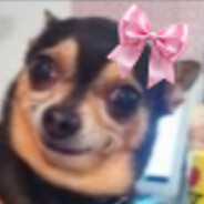 JayHuaHua