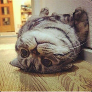 把把起野牛三天大地球