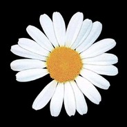 小姐姐请守好你的B！