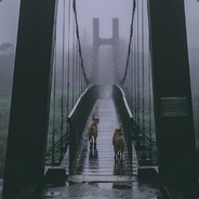 yuko's Steam avatar