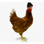 Chickeneanie