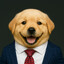 Perro Feliz