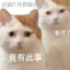Hello，鼠先生
