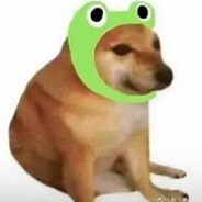 怯战蜥蜴-艾路迪克