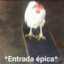 Eduar.ddox