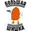 Бадяга