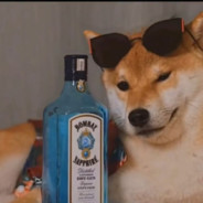 还在想不可能的她吗