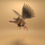 Flying rat