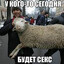 Психотерапевт