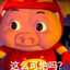 广州男神GG邦德叻仔猪